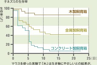 マウスを使った実験で「木」は生き物にやさしいとの結果が。